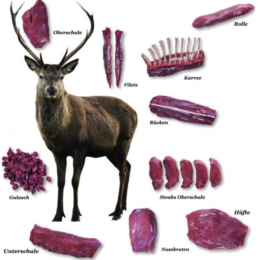 Wildfleisch vom Rotwild